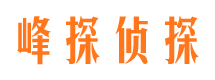 通许市调查公司